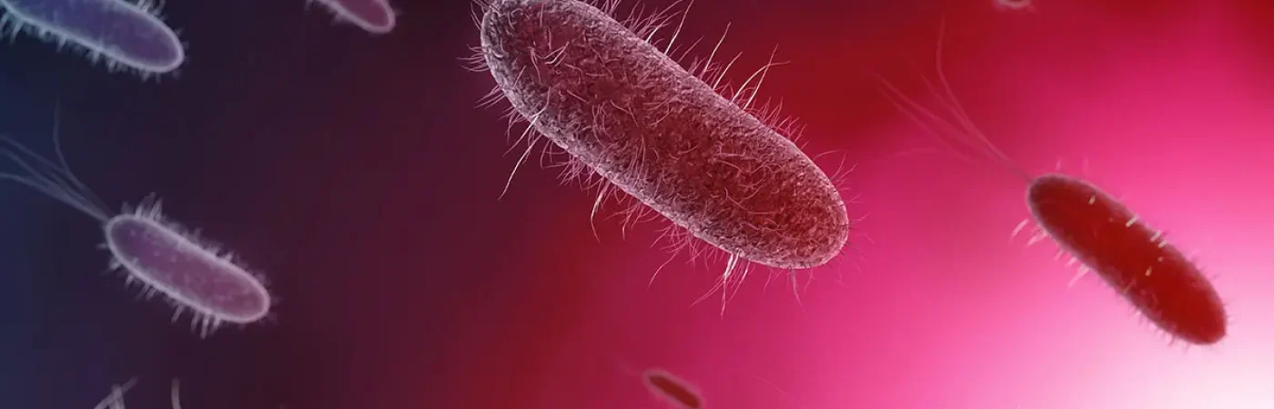 STD---Sexually-transmitted-diseases---MEDI-GAMA